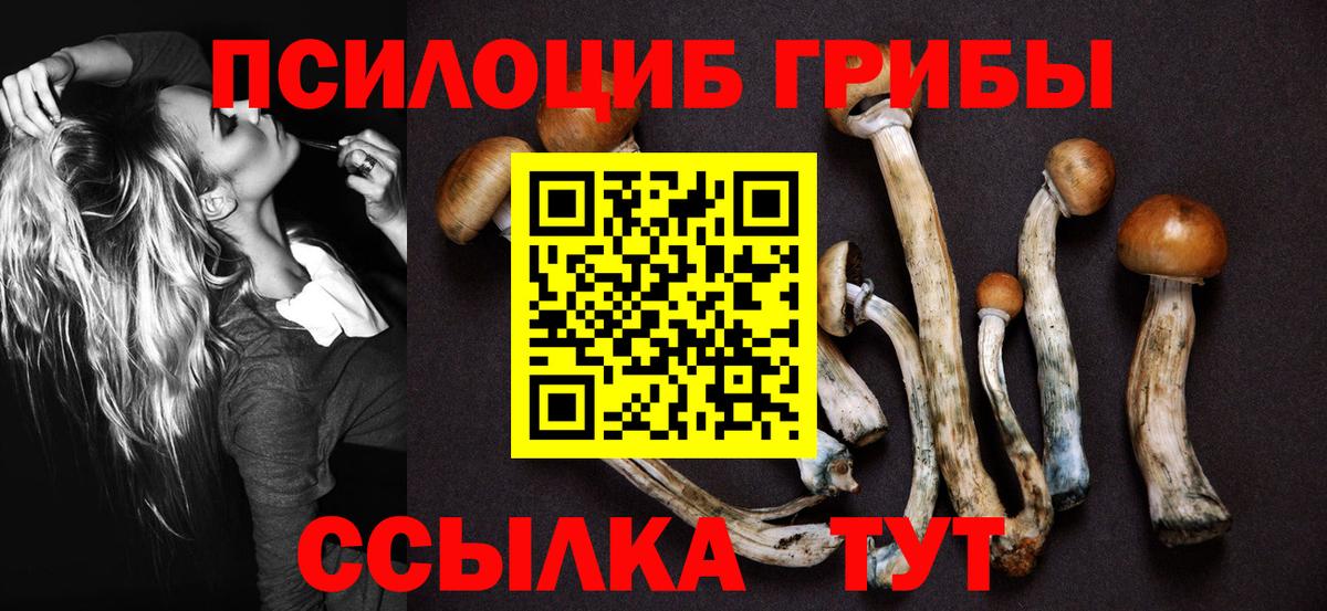 Галлюциногенные грибы ЛСД Сочи