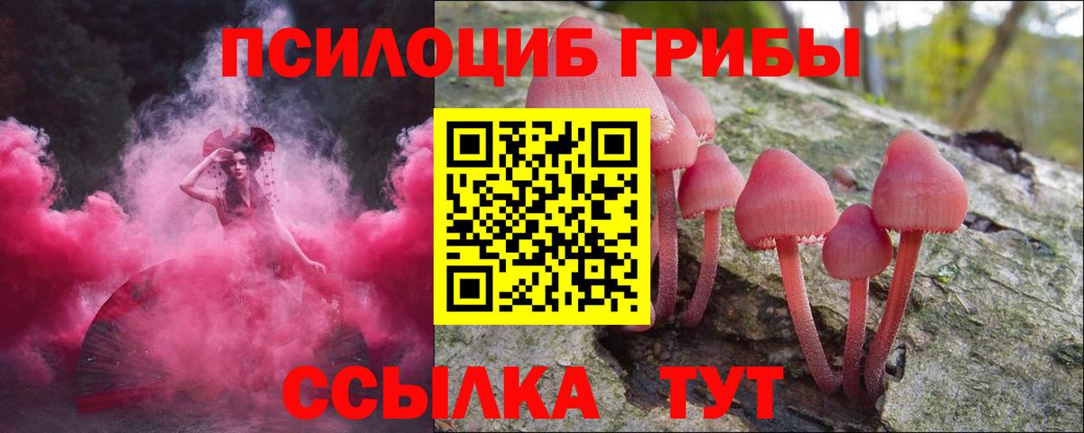 Сочи  Галлюциногенные грибы Cubensis  Вход с VPN 